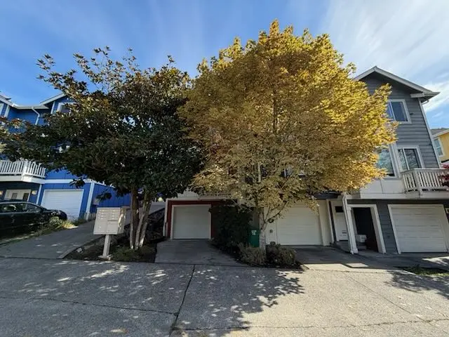 Yellow fall-color tree beside townhouse garages and a shared driveway